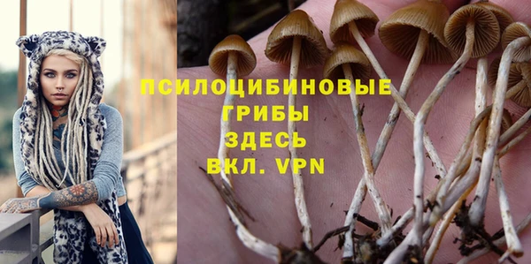 соль ск Арсеньев