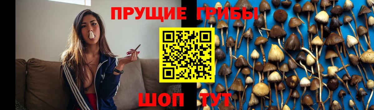 Галлюциногенные грибы мицелий  дарнет шоп  Советский  Вход с VPN 