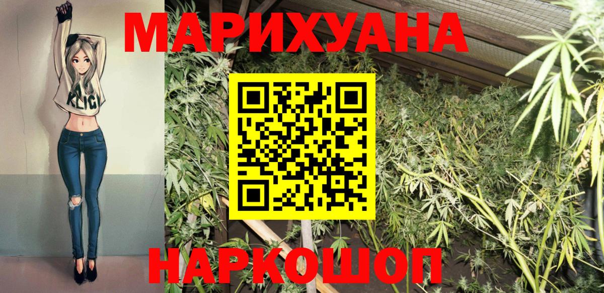 Конопля гибрид Советский